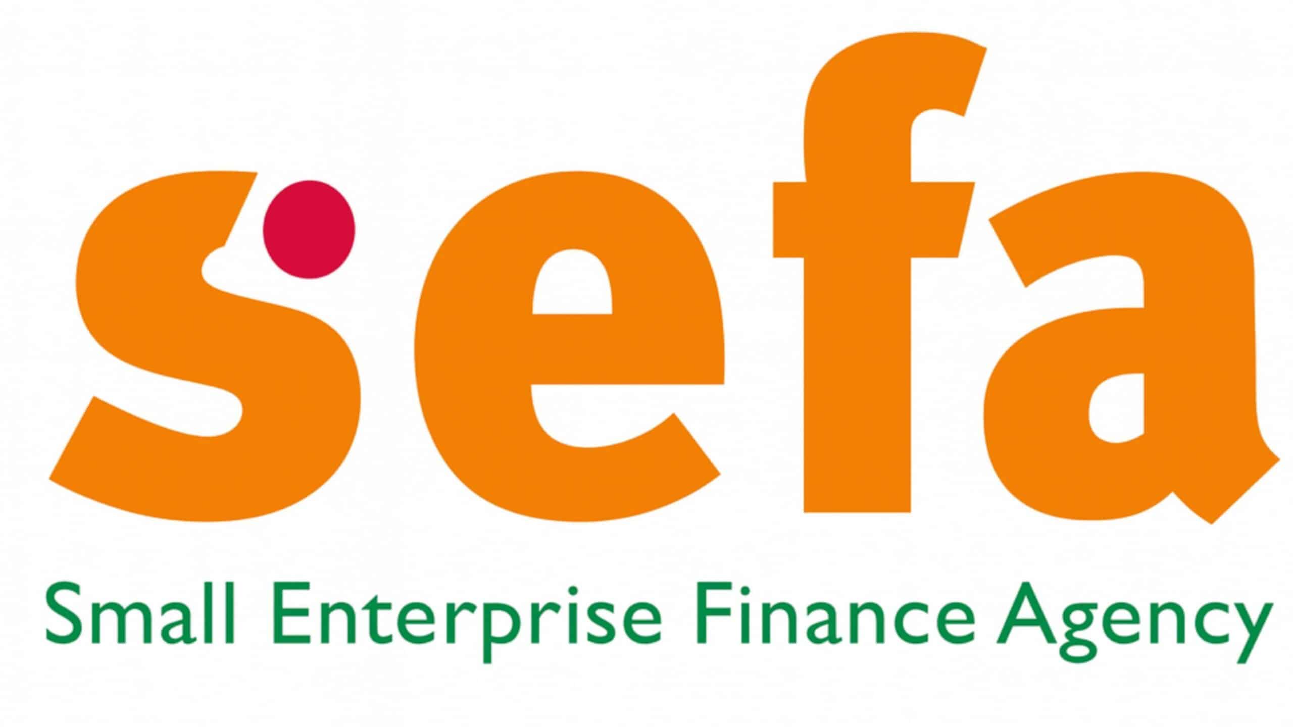 Small Enterprise Finance Agency SEFA logo – small business funding South Africa